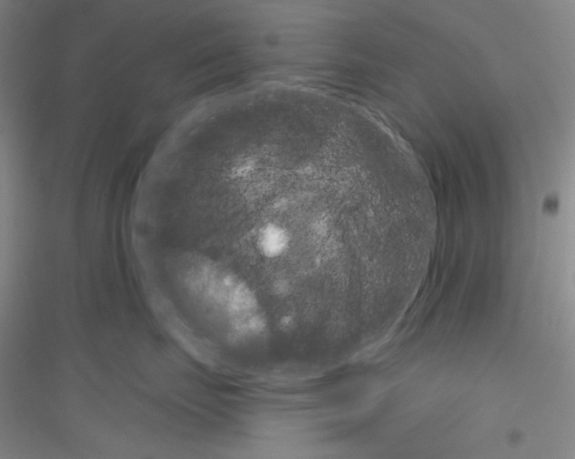 X0000116850671201002021046