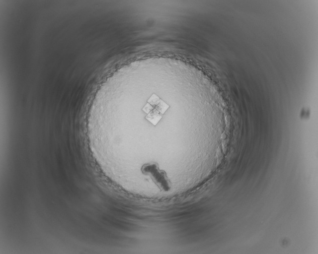 X0000116850672201002021046