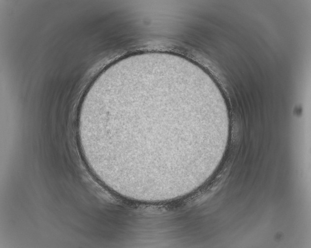 X0000116850673201002021046