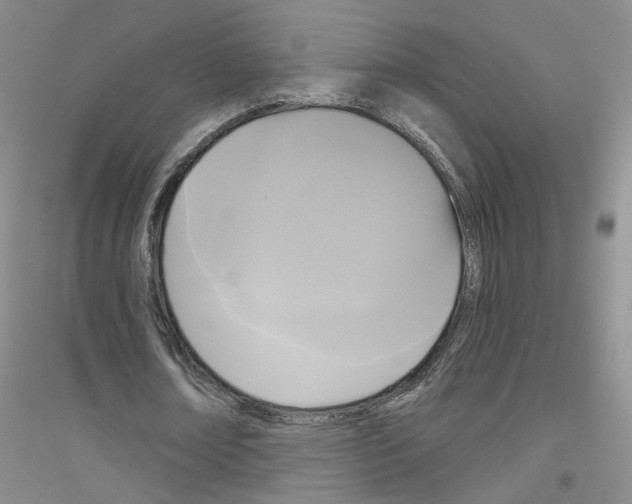 X0000116850674201002021046