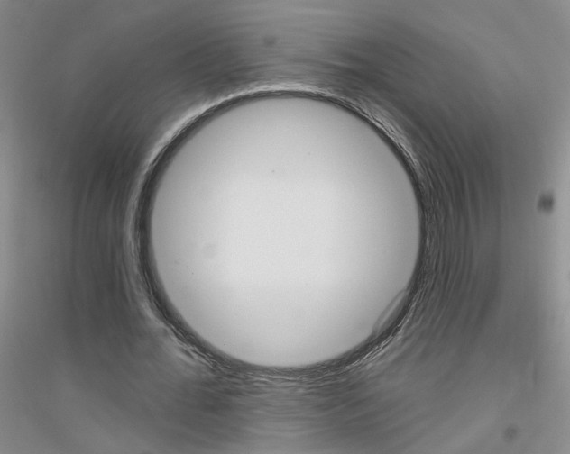 X0000116850676201002021046