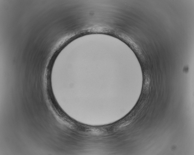 X0000116850678201002021046