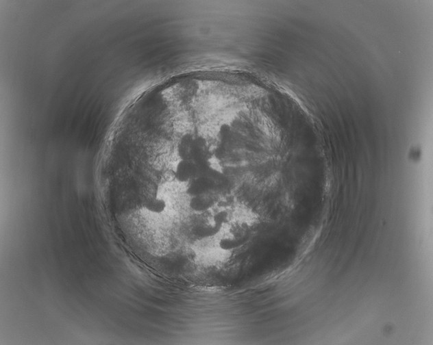 X0000116850679201002021046