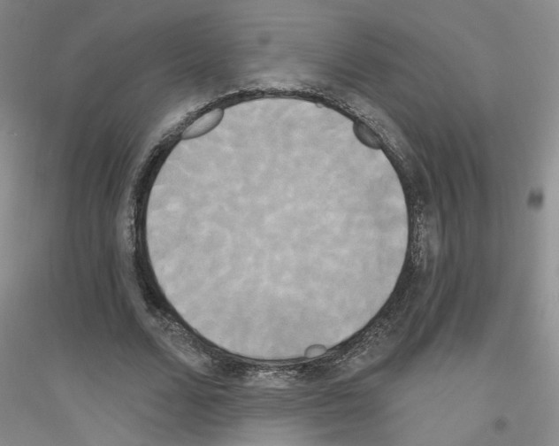 X0000116850680201002021046