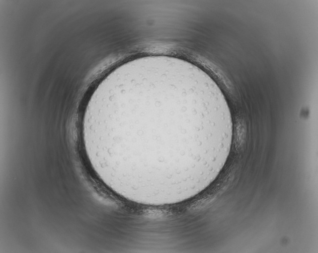 X0000116850682201002021046