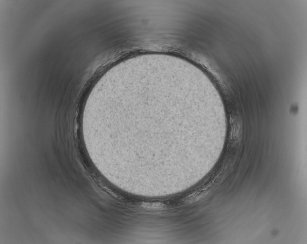 X0000116850685201002021046