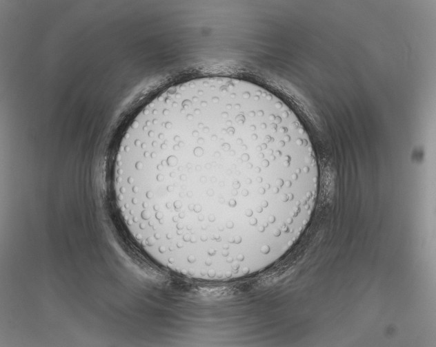 X0000116850686201002021046
