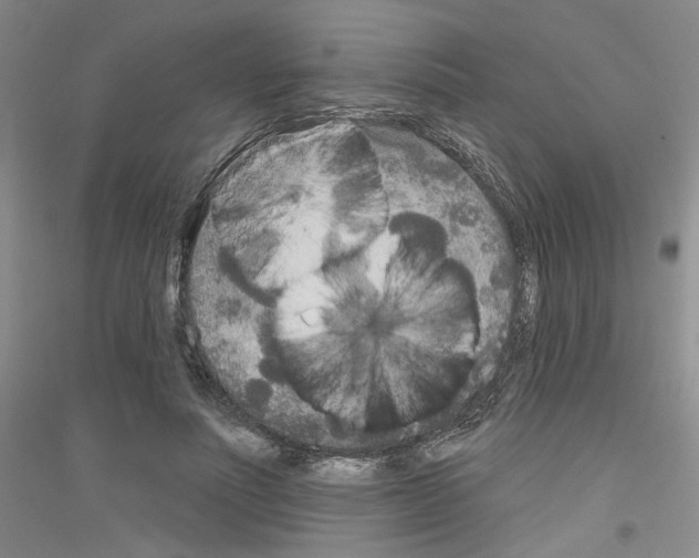 X0000116850691201002021046