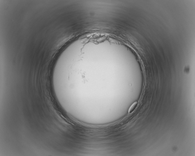 X0000116850692201002021045