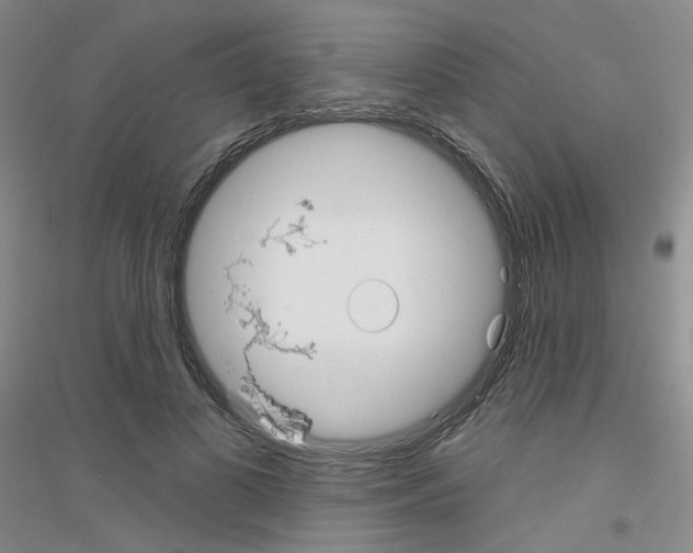 X0000116850693201002021045