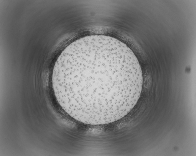 X0000116850694201002021045