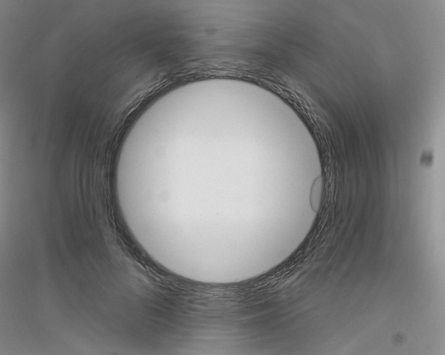 X0000116850696201002021045