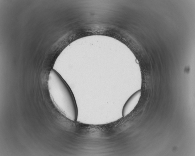X0000116850697201002021045