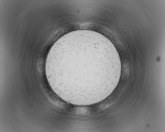 X0000116850698201002021045