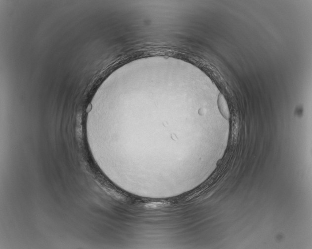 X0000116850700201002021045