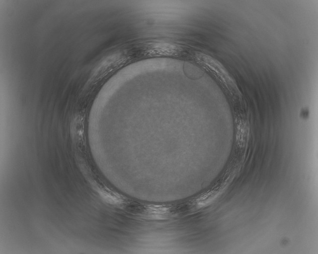 X0000116850701201002021045
