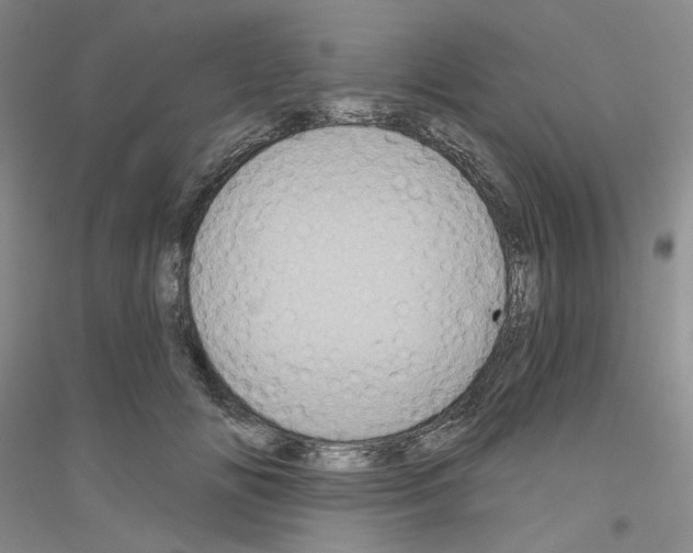 X0000116850702201002021045