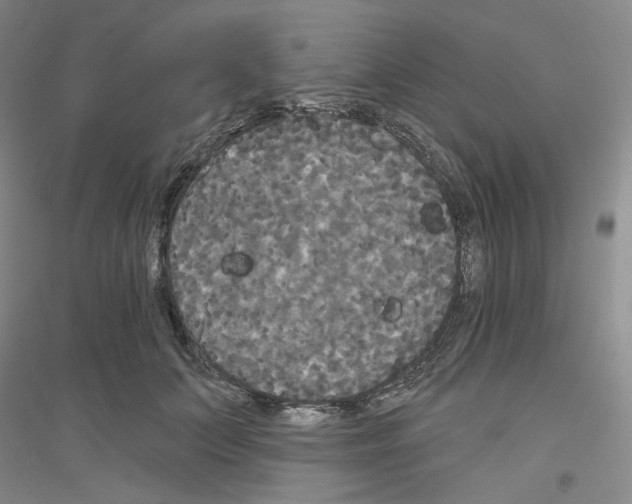 X0000116850703201002021045