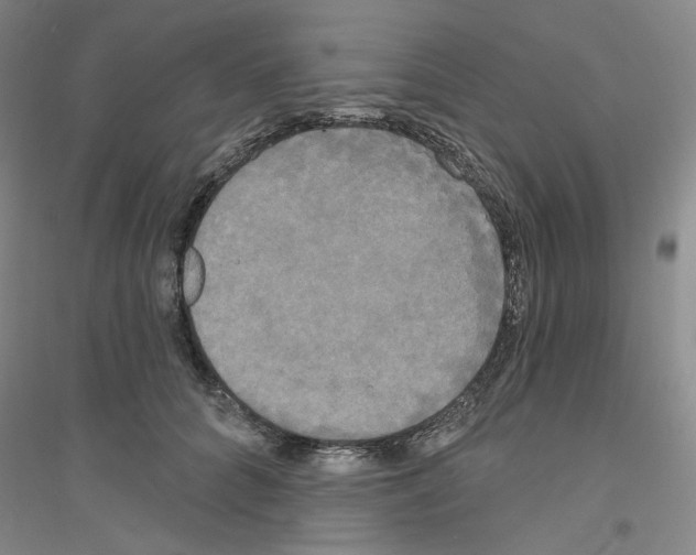 X0000116850704201002021045
