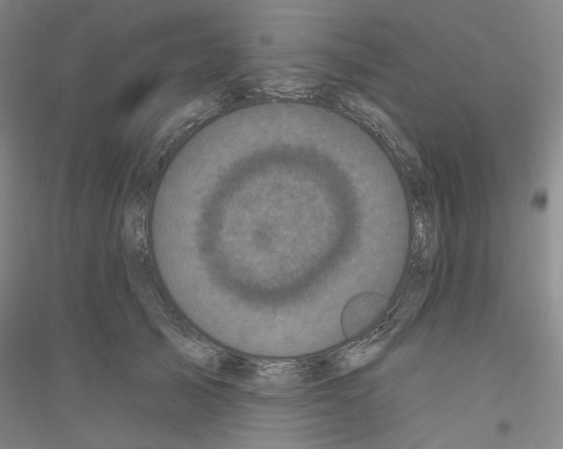 X0000116850705201002021045