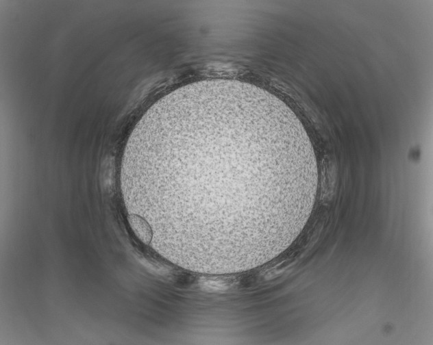 X0000116850706201002021045