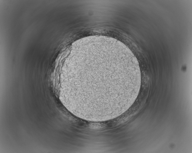X0000116850707201002021045