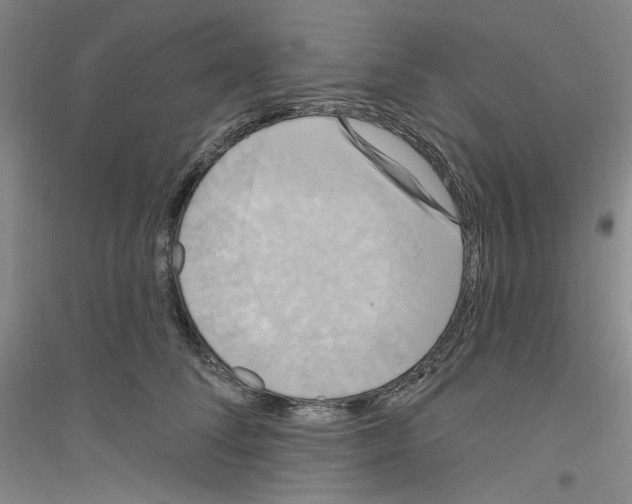 X0000116850708201002021045