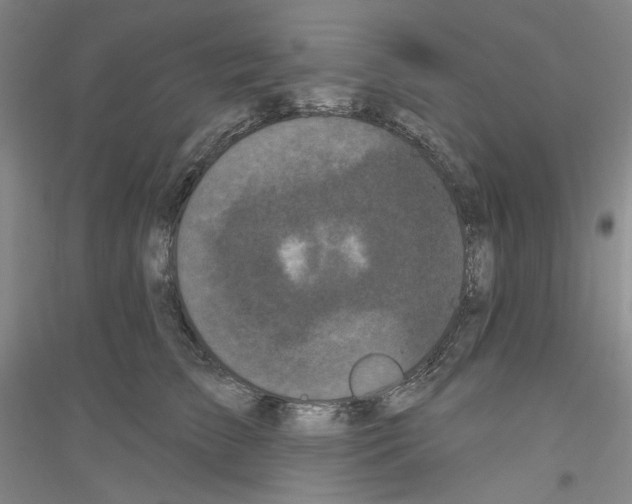 X0000116850709201002021045