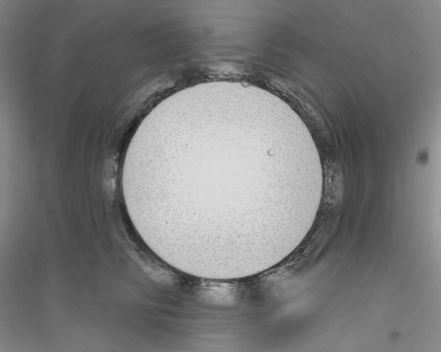 X0000116850710201002021045
