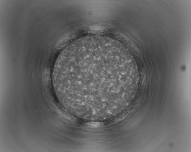 X0000116850711201002021045