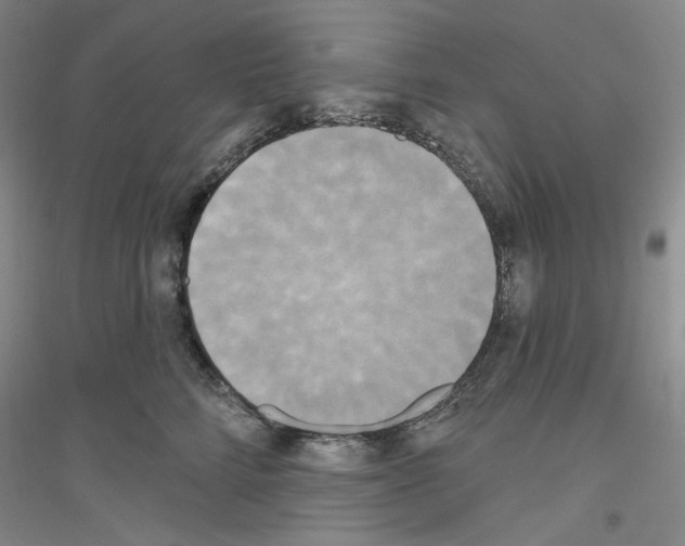 X0000116850712201002021045