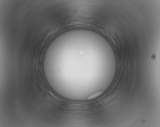 X0000116850713201002021045
