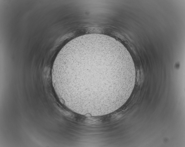 X0000116850714201002021045