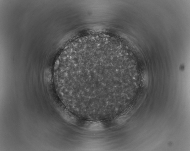 X0000116850715201002021045