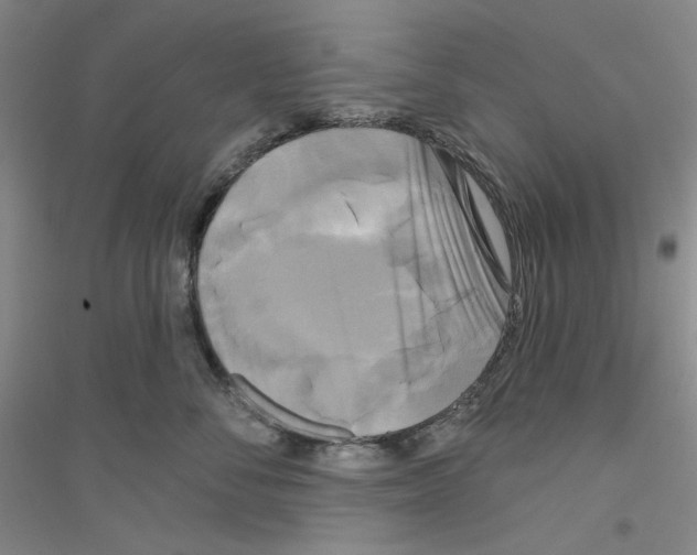 X0000116850716201002021045