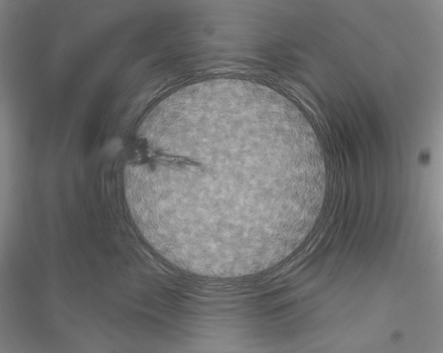 X0000116850717201002021045