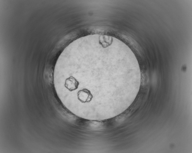 X0000116850718201002021045