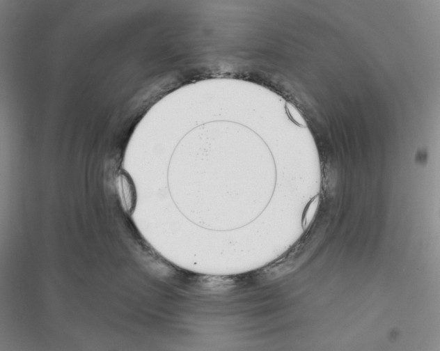 X0000116850719201002021045