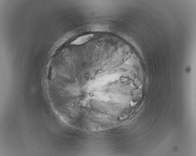 X0000116850721201002021044
