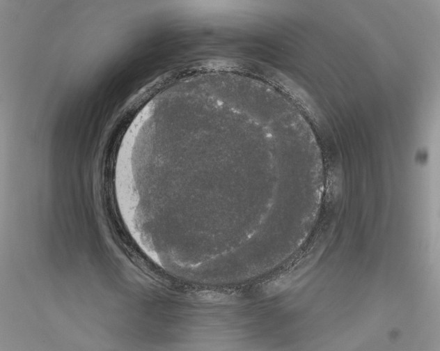 X0000116850722201002021044