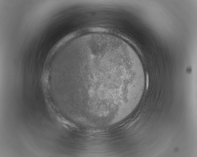 X0000116850723201002021044
