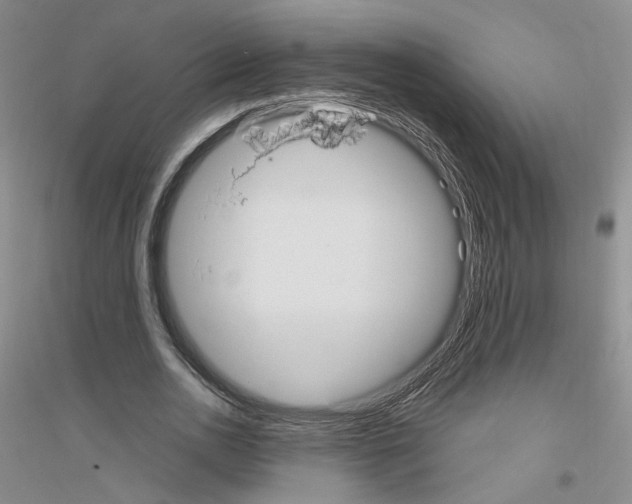 X0000116850726201002021045