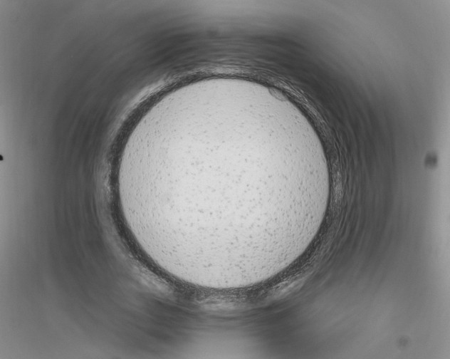 X0000116850727201002021045
