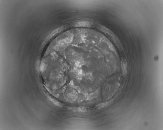 X0000116850729201002021045
