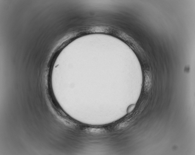 X0000116850730201002021045
