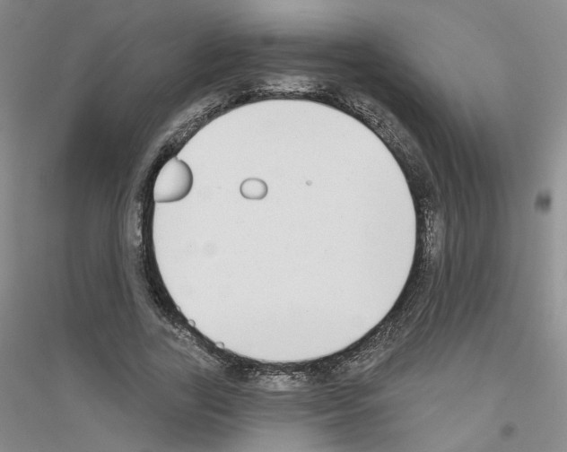 X0000116850731201002021045