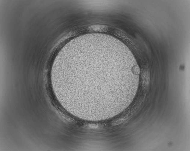 X0000116850738201002021045