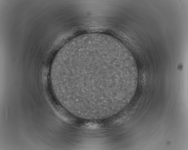 X0000116850742201002021045