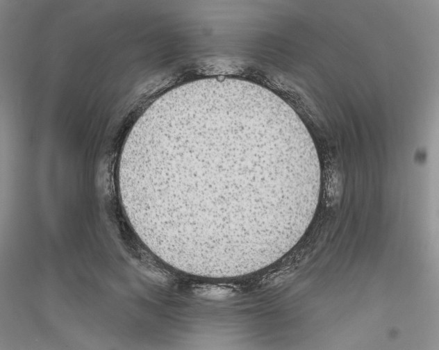 X0000116850743201002021045