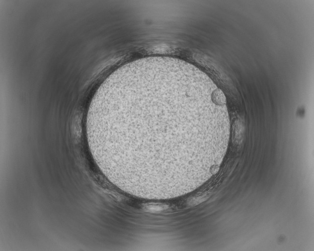 X0000116850746201002021045